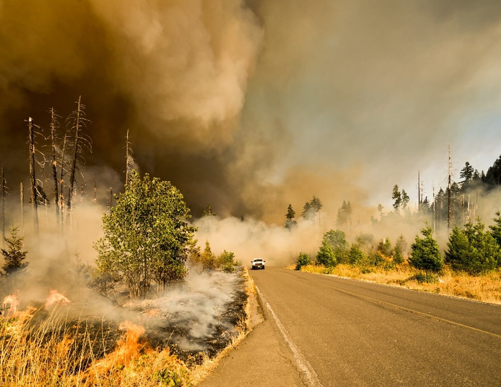 Climate Anxiety